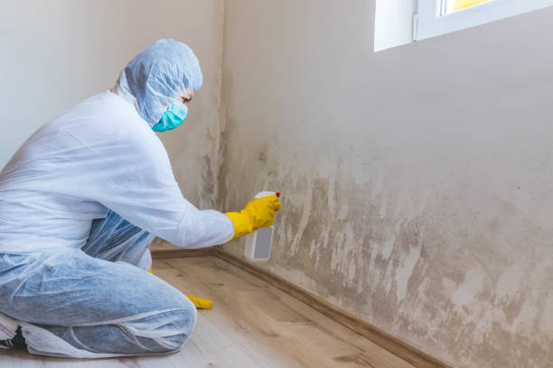 Hvac And Air Duct Mold Remediation inspection of HVAC system in Happy Valley